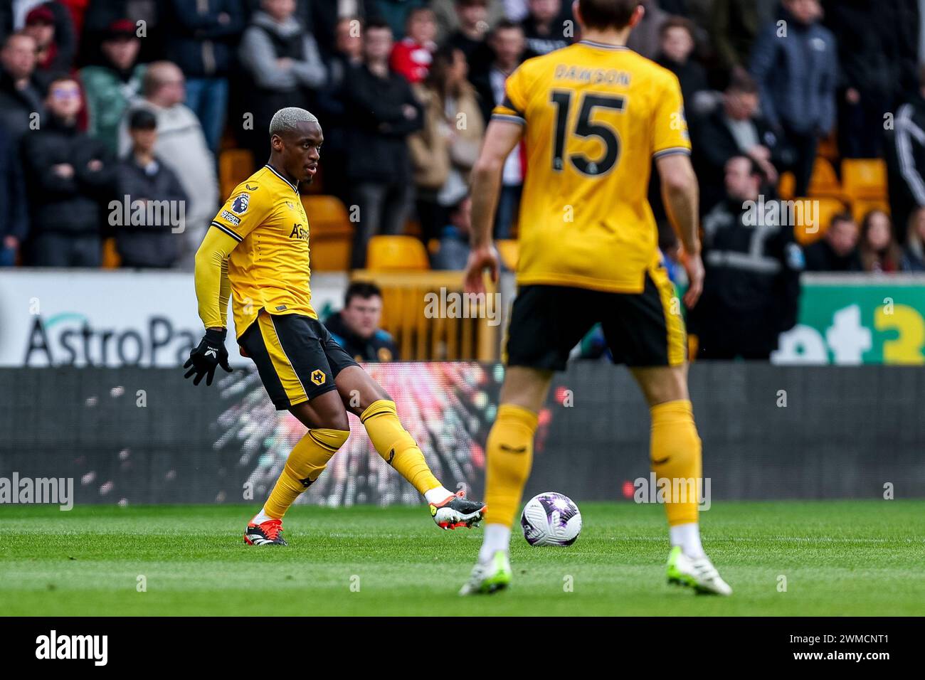 Wolverhampton, Royaume-Uni. 25 février 2024. Wolves' Toti en action lors du match de premier League entre Wolverhampton Wanderers et Sheffield Utd à Molineux, Wolverhampton, Angleterre, le 25 février 2024. Photo de Stuart Leggett. Utilisation éditoriale uniquement, licence requise pour une utilisation commerciale. Aucune utilisation dans les Paris, les jeux ou les publications d'un club/ligue/joueur. Crédit : UK Sports pics Ltd/Alamy Live News Banque D'Images