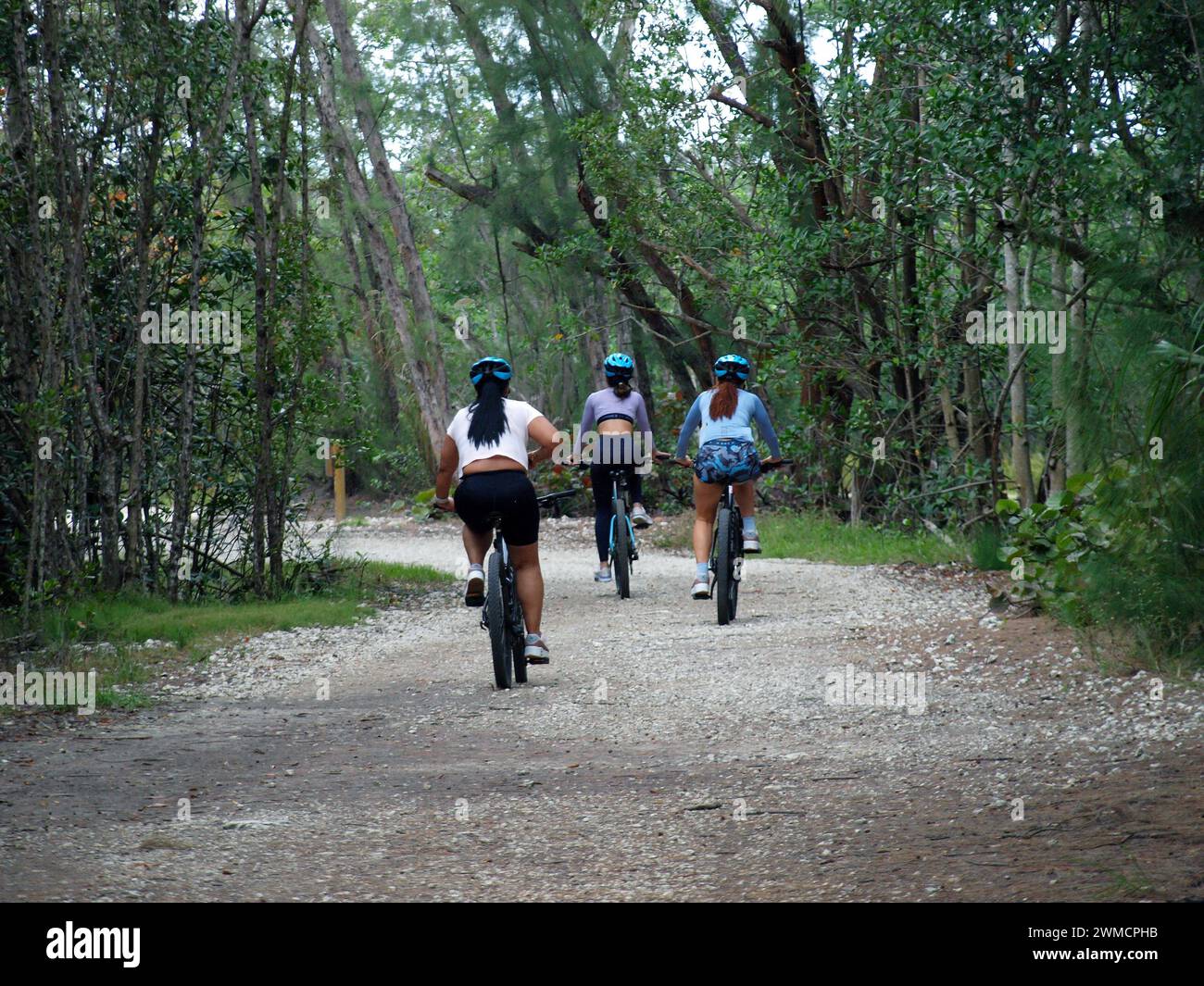 Miami, Floride, États-Unis - 27 janvier 2024 : les filles faisant du vélo dans les sentiers du parc d'État d'Oleta River. Banque D'Images