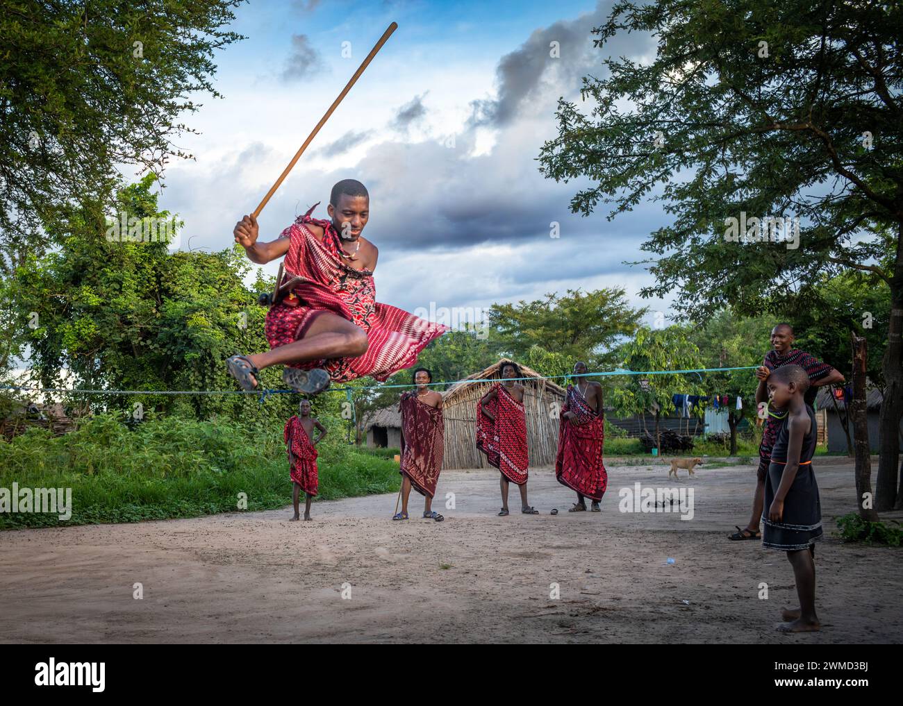 Un guerrier Massaï porte son bâton ol-nkerr alors qu’il s’entraîne à sauter par-dessus une corde dans son village traditionnel de Mikumi, en Tanzanie. Banque D'Images