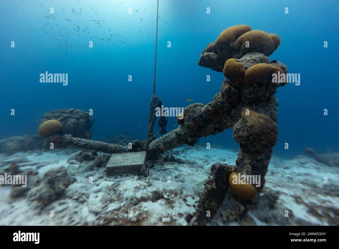 Grande ancre de bateau incrustée de coraux et placée comme récif artificiel sur sable blanc Banque D'Images
