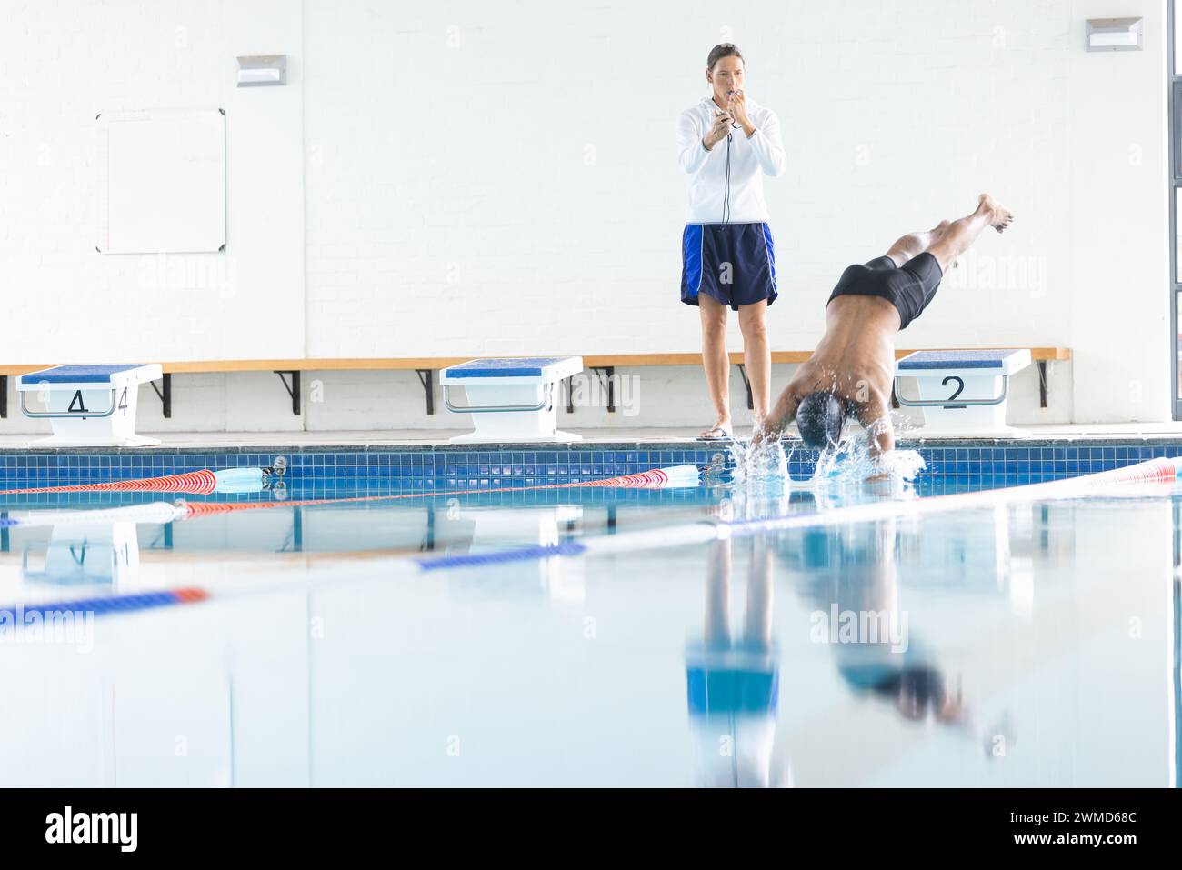 Entraîneur chronométrant la plongée d'un nageur dans une piscine intérieure avec espace photocopie Banque D'Images