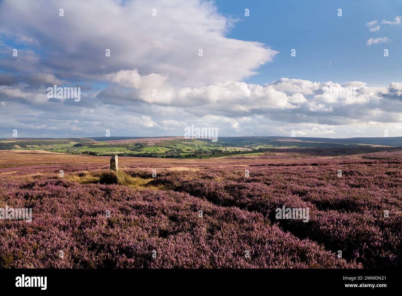 SISS Cross sur Low Danby Moor, dans les North York Moors, Royaume-Uni Banque D'Images