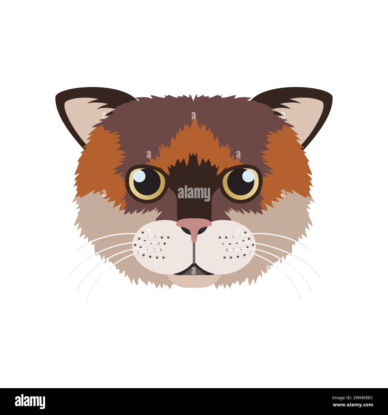 Visage de chaton Munchkin, portrait d'illustration vectorielle drôle de tête de chat à saucisse intelligente Illustration de Vecteur