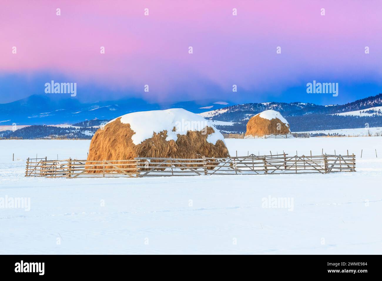 lever du soleil sur des bottes de foin en hiver près d'avon, montana Banque D'Images
