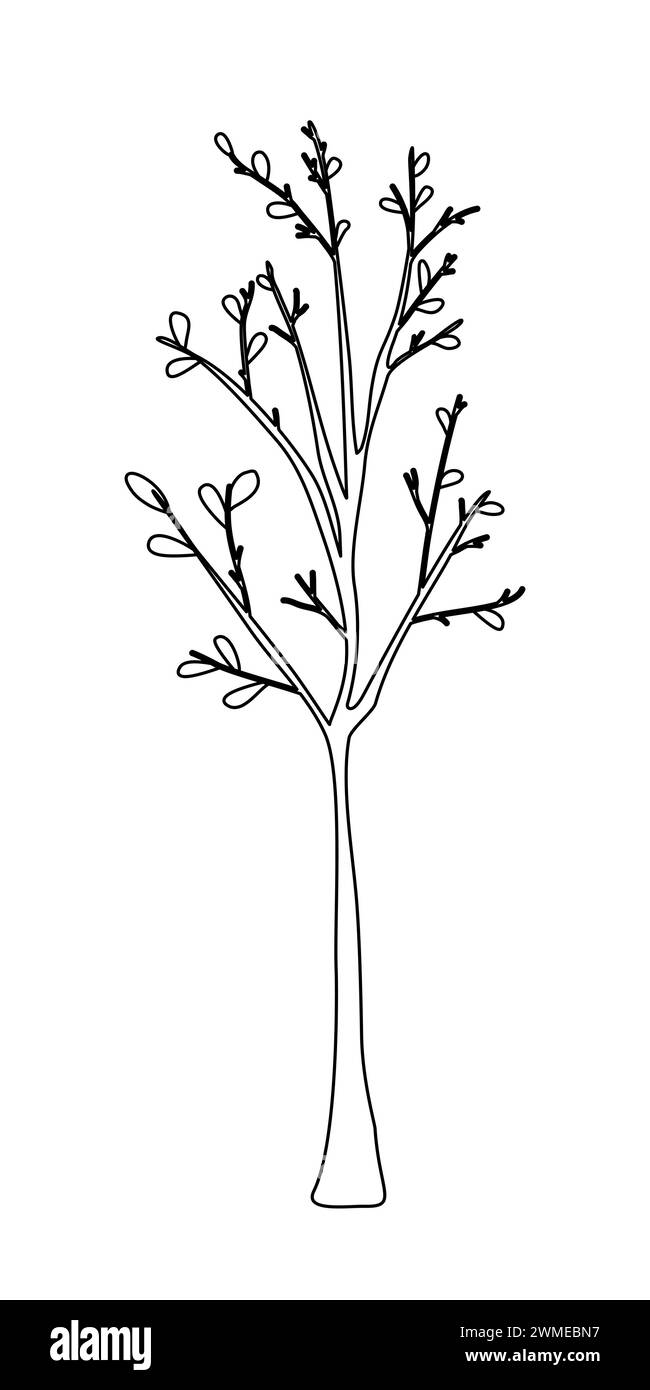 Jeune arbre avec des feuilles ou des semis d'arbre, illustration vectorielle plate de style doodle pour livre de coloriage pour enfants Illustration de Vecteur