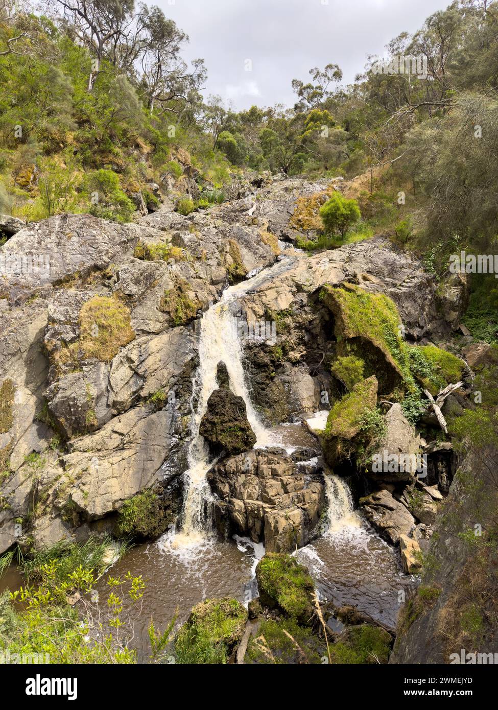 Cascade de Hindmarsh Falls dans la vallée de Hindmarsh sur la péninsule de Fleurieu, Australie méridionale Banque D'Images