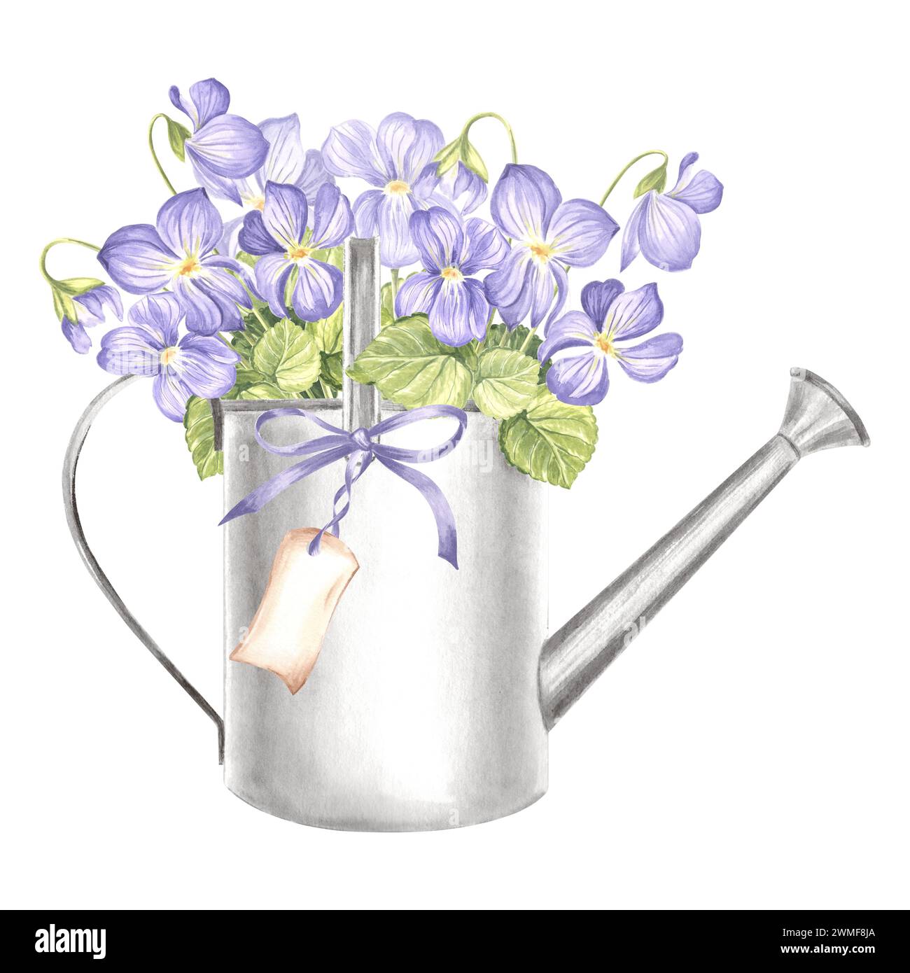 Violet avec des feuilles en métal arrosoir avec étiquette, illustration aquarelle des fournitures de jardin. Fleurs sauvages isolées dessinées à la main, bouquet de pensées. Templat Banque D'Images