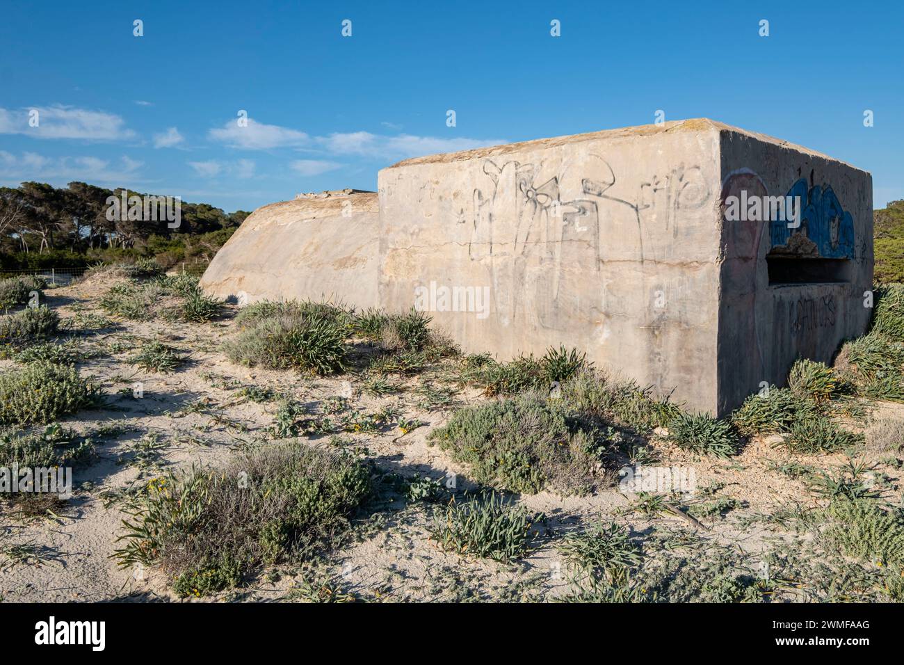 Soute de guerre civile, plage es Caragol, commune de Santanyi, Majorque, Iles Baléares, Espagne Banque D'Images
