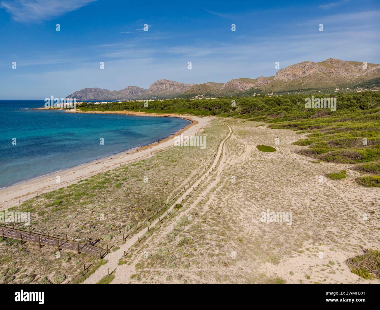Chemin en bois pour protéger les dunes, Arenal de sa Canova, Artà - Santa Margalida, zone naturelle d'intérêt spécial, Majorque, Iles Baléares, Espagne Banque D'Images