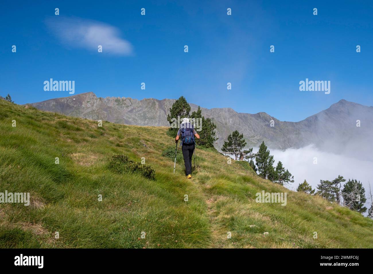 Vallée d'Aure, département des Hautes-Pyrénées, France Banque D'Images