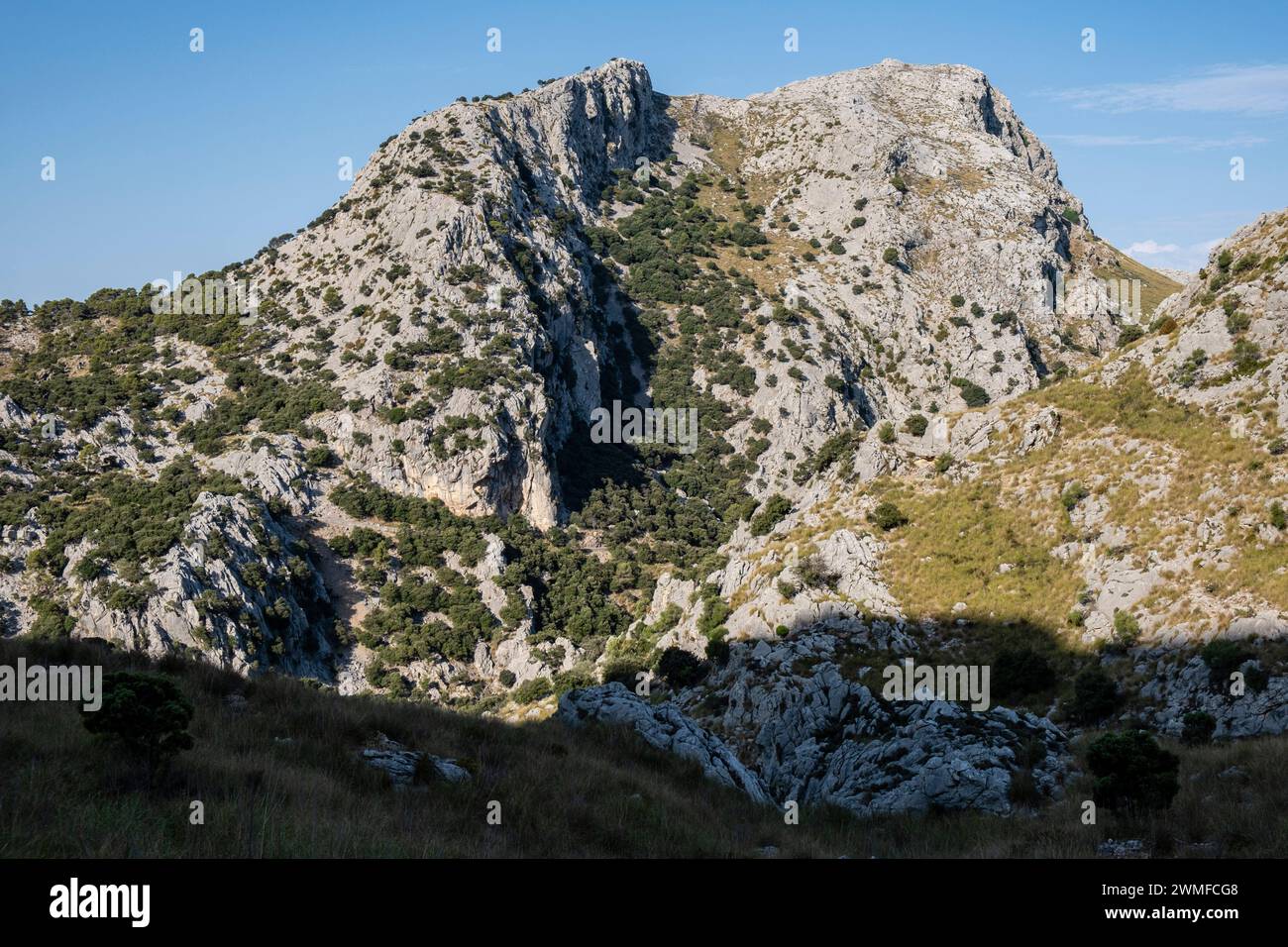 puig de Rateta, 1113 mètres, Majorque, Îles Baléares, Espagne Banque D'Images