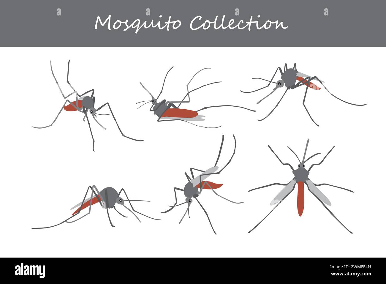 Collection de moustiques. Illustration vectorielle isolée sur fond blanc. Illustration de Vecteur