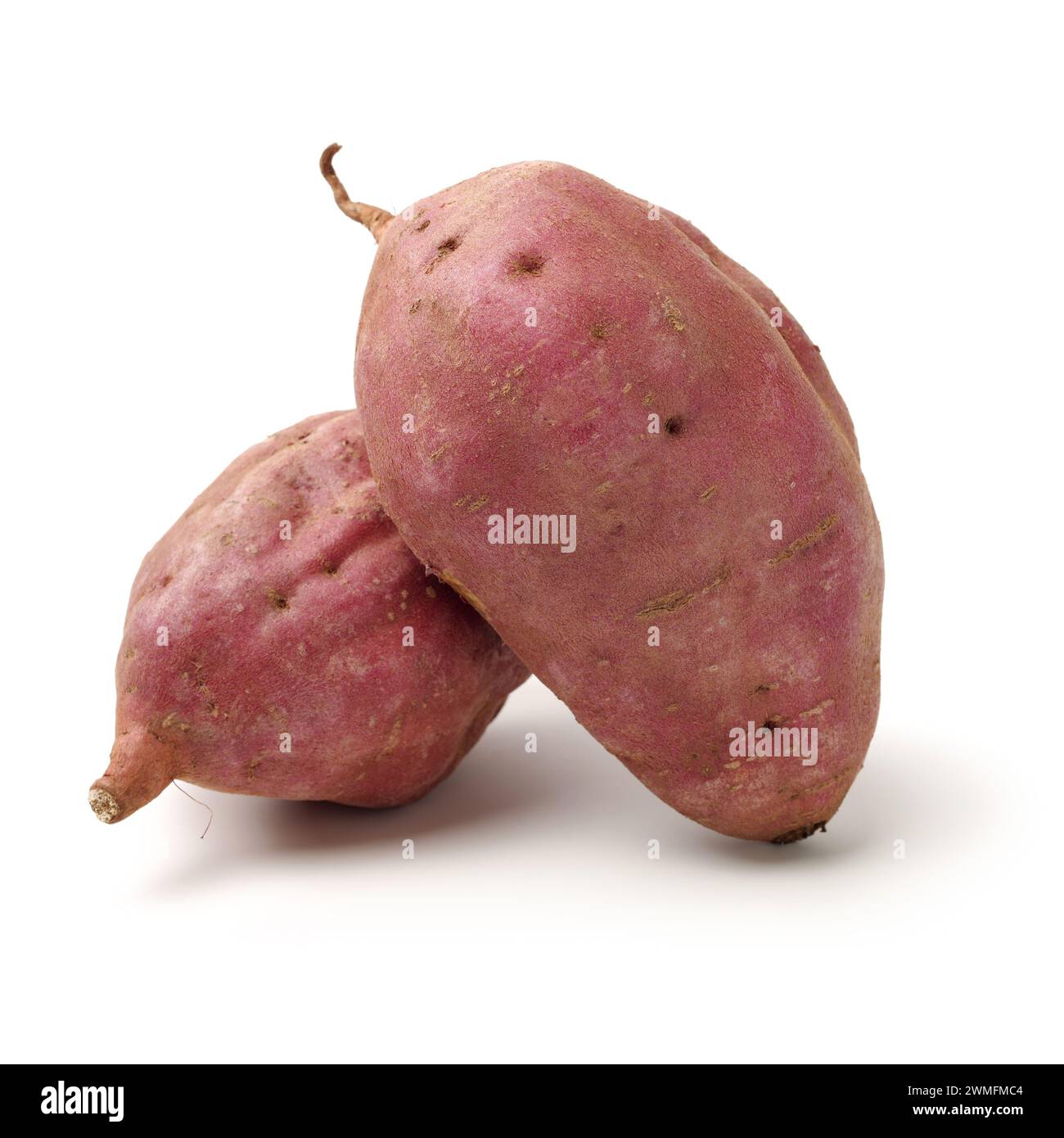Patate douce sur le fond blanc Banque D'Images
