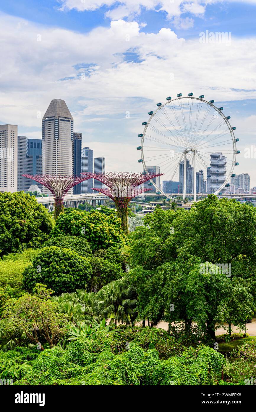 Le Singapore Flyer et Supertrees avec l'horizon singapourien au loin, Singapour Banque D'Images