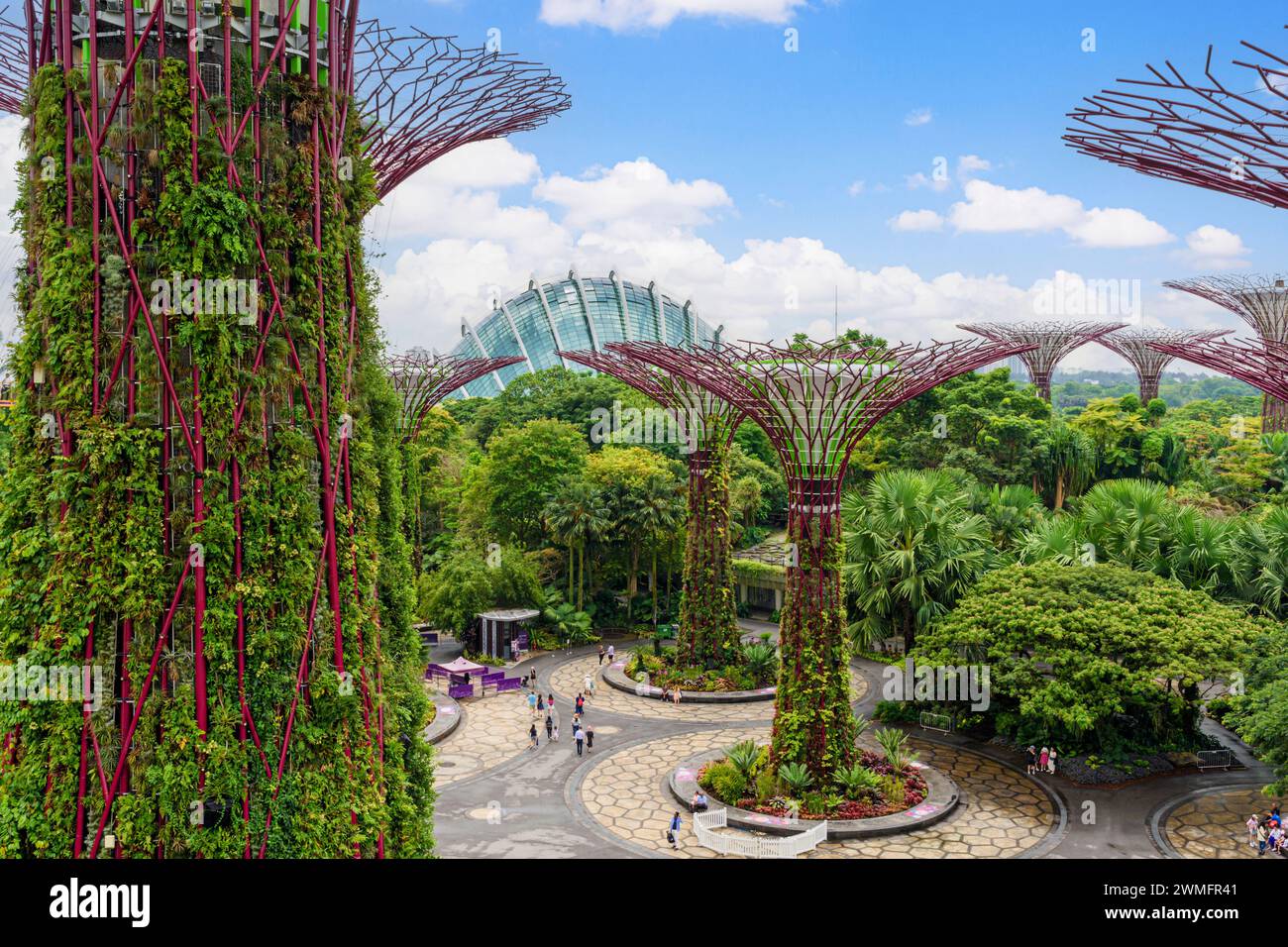 L'Supertree Grove à Gardens by the Bay, Singapour Banque D'Images
