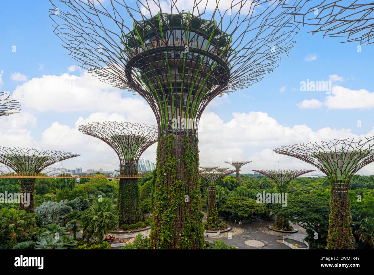 L'Supertree Grove à Gardens by the Bay, Singapour Banque D'Images