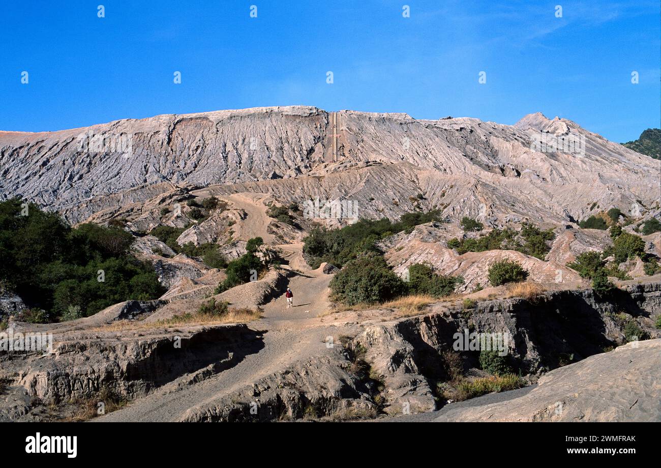 Volcan de Bromo ou Gunung Bromo dans le parc national de Bromo Tengger Semeru, Java, Indonésie. Banque D'Images