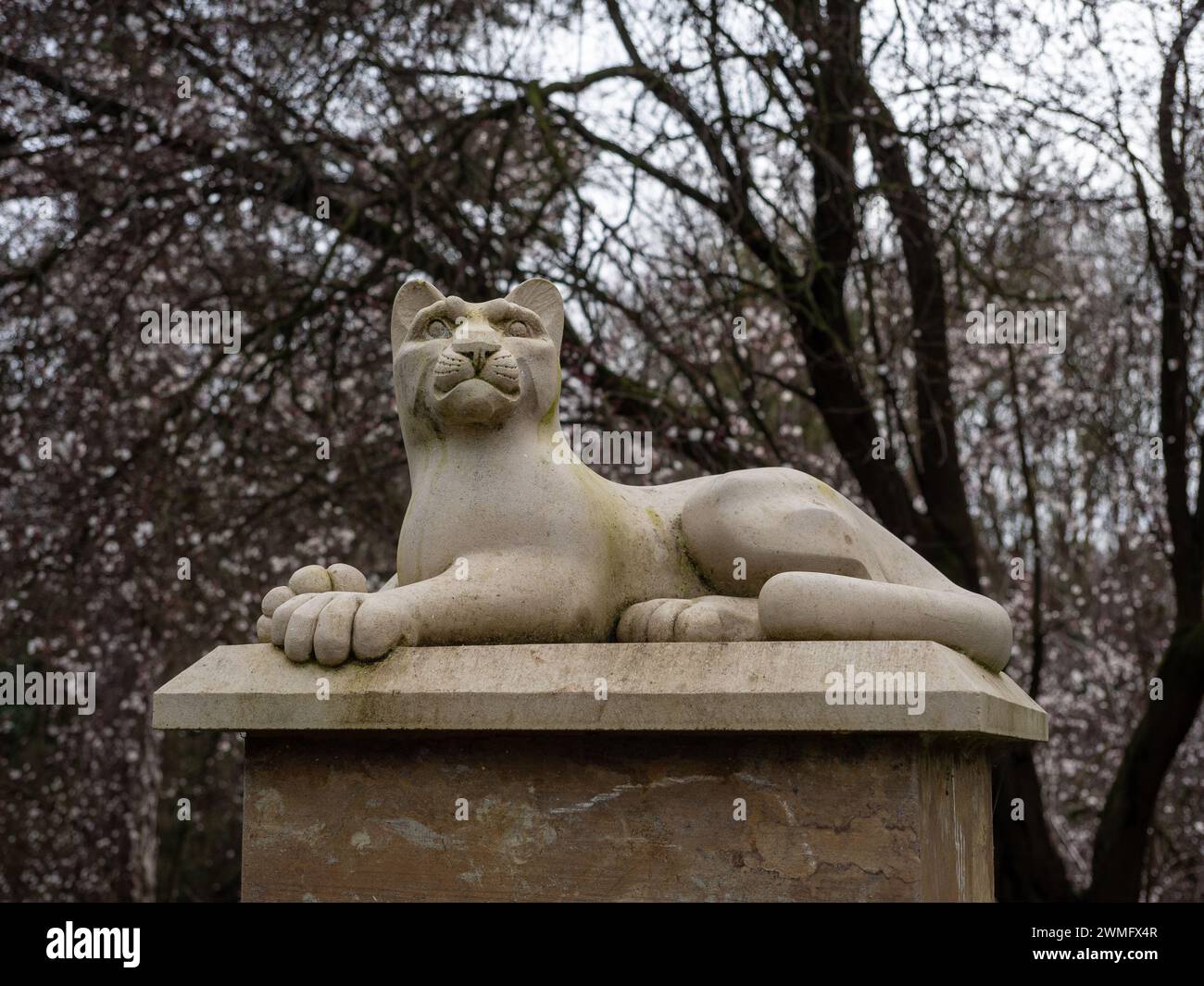 Sculpture calcaire d'un lion, Croyland Gardens, Wellingborough, Royaume-Uni ; en mémoire d'un animal autrefois logé dans l'ancien zoo dans les jardins. Banque D'Images