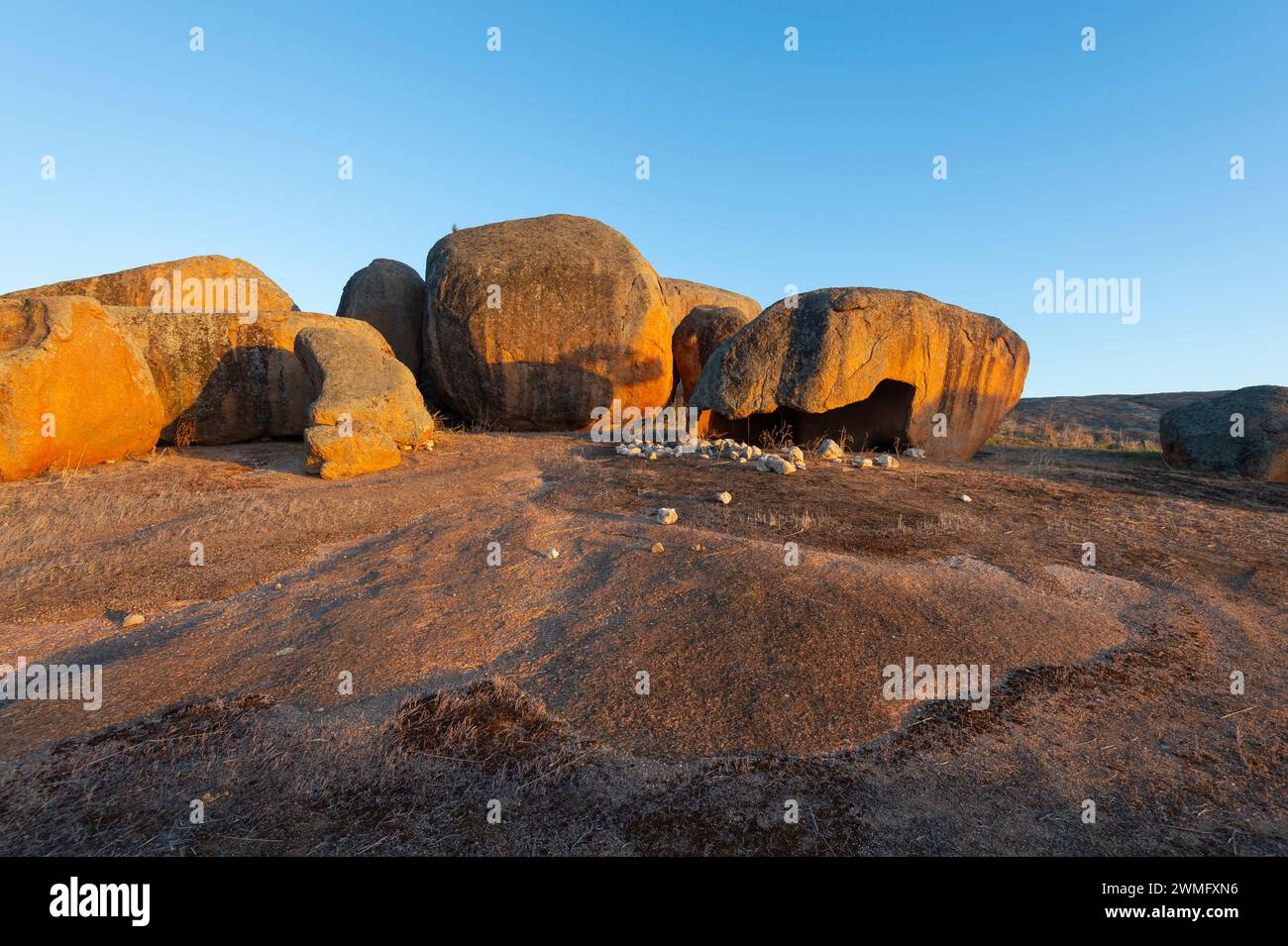 Vue panoramique de Wattle Grove Rock dans la lumière dorée, Wudinna, Eyre Peninsula, Australie méridionale, Australie méridionale, Australie méridionale, Australie méridionale, Australie méridionale, Australie Banque D'Images