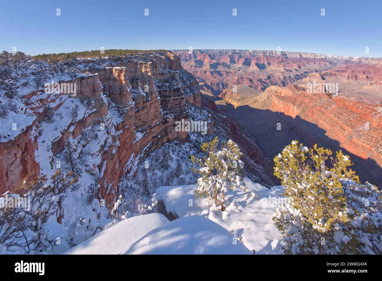 Falaises enneigées de Pipe Creek Canyon au Grand Canyon Arizona Banque D'Images