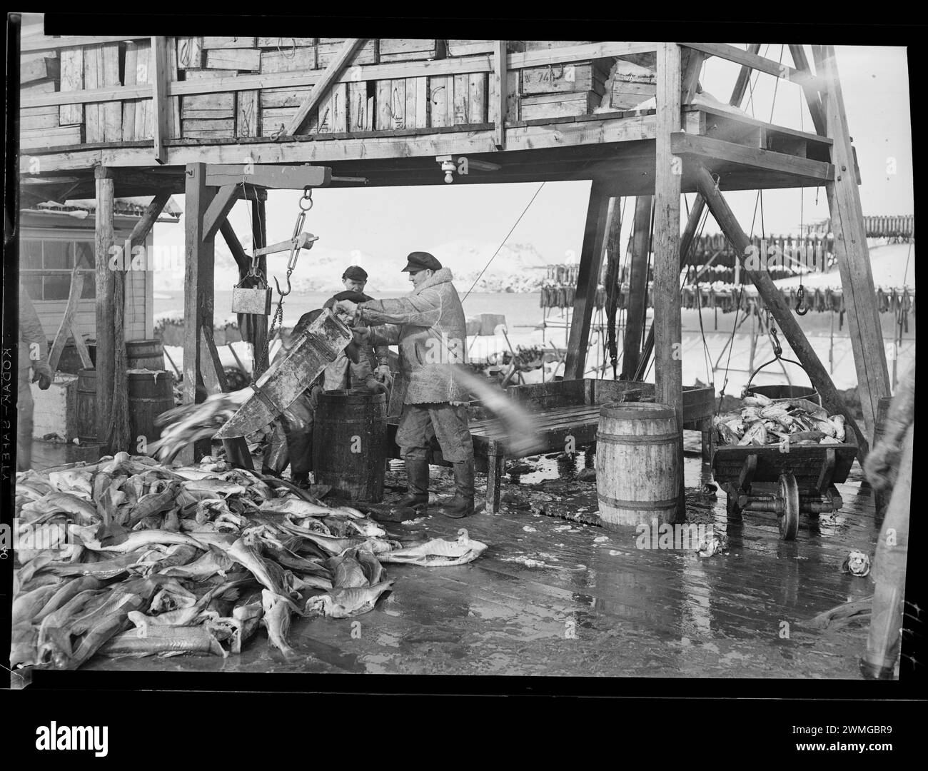 Photographie vintage d'un village de pêcheurs norvégien en hiver, avec un pêcheur déchargeant la prise de poisson du jour sur les quais vers les années 1920 Banque D'Images