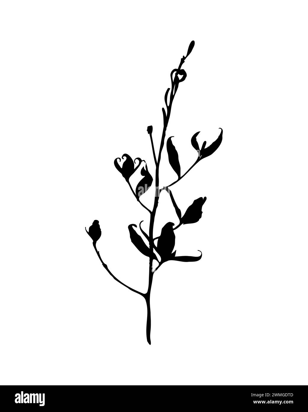 Silhouette délicate de plante avec une tige élégante avec des feuilles, présentée dans un contraste frappant sur fond blanc pur, capturant le simpliste Illustration de Vecteur