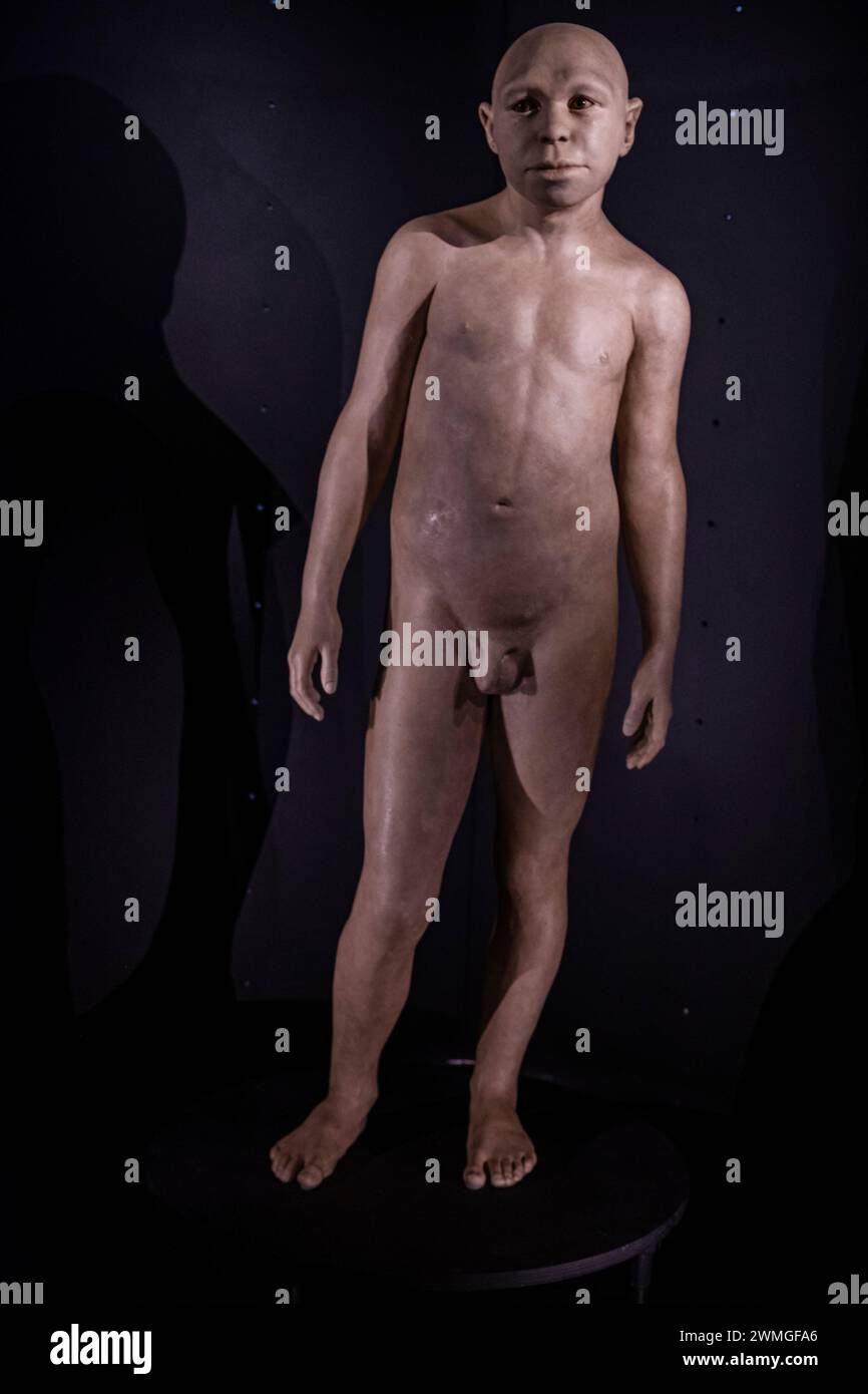 Homo Antecessor, Museo de la evolución humana, MEH, Burgos , Espagne Banque D'Images