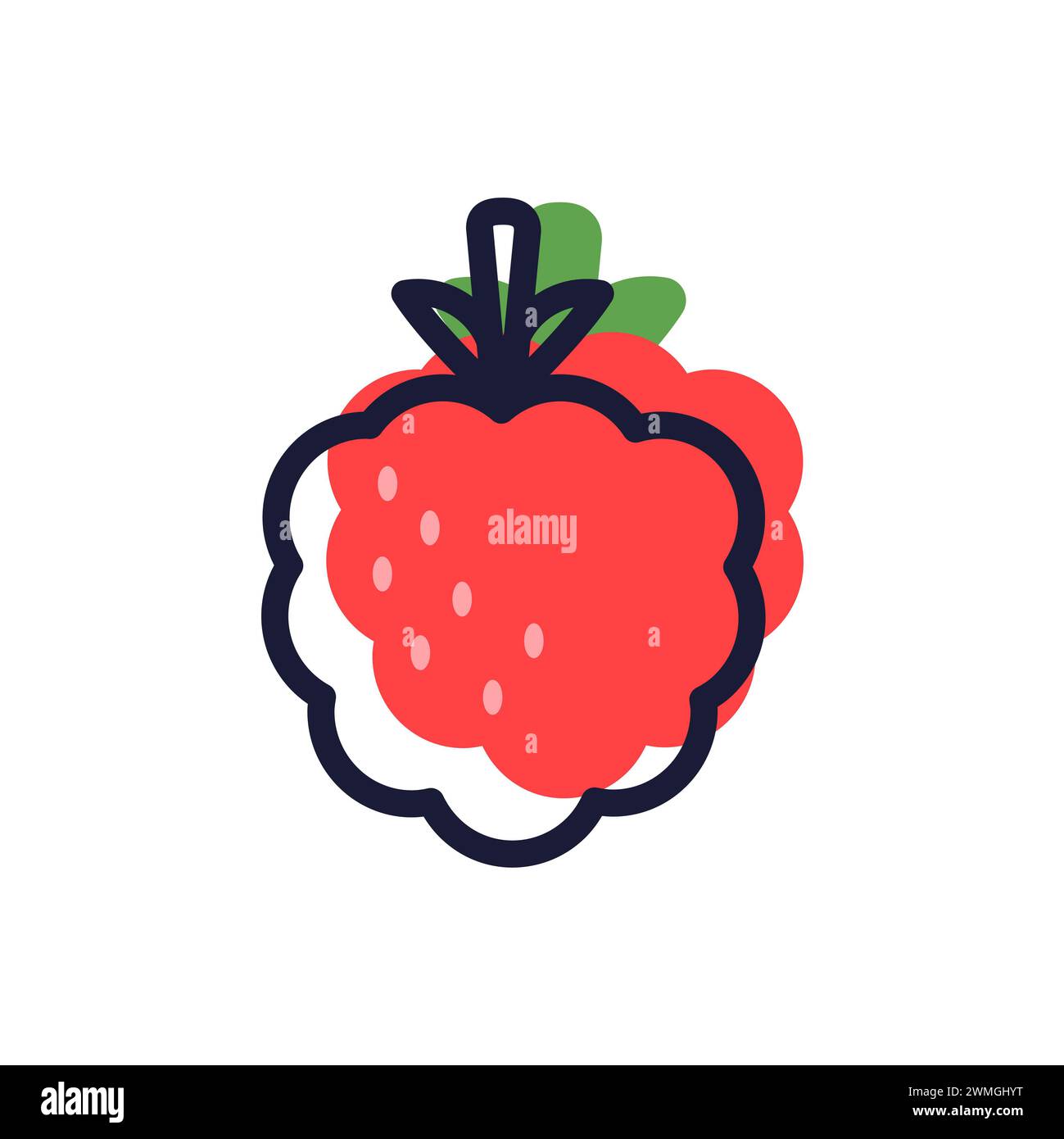 Cloudberry, framboise, mûre avec des feuilles et tacheté. Icône de ligne de couleur vectorielle. Vecteur isolé sur fond blanc. Style dessin animé. Pour l'emballage. Banque D'Images