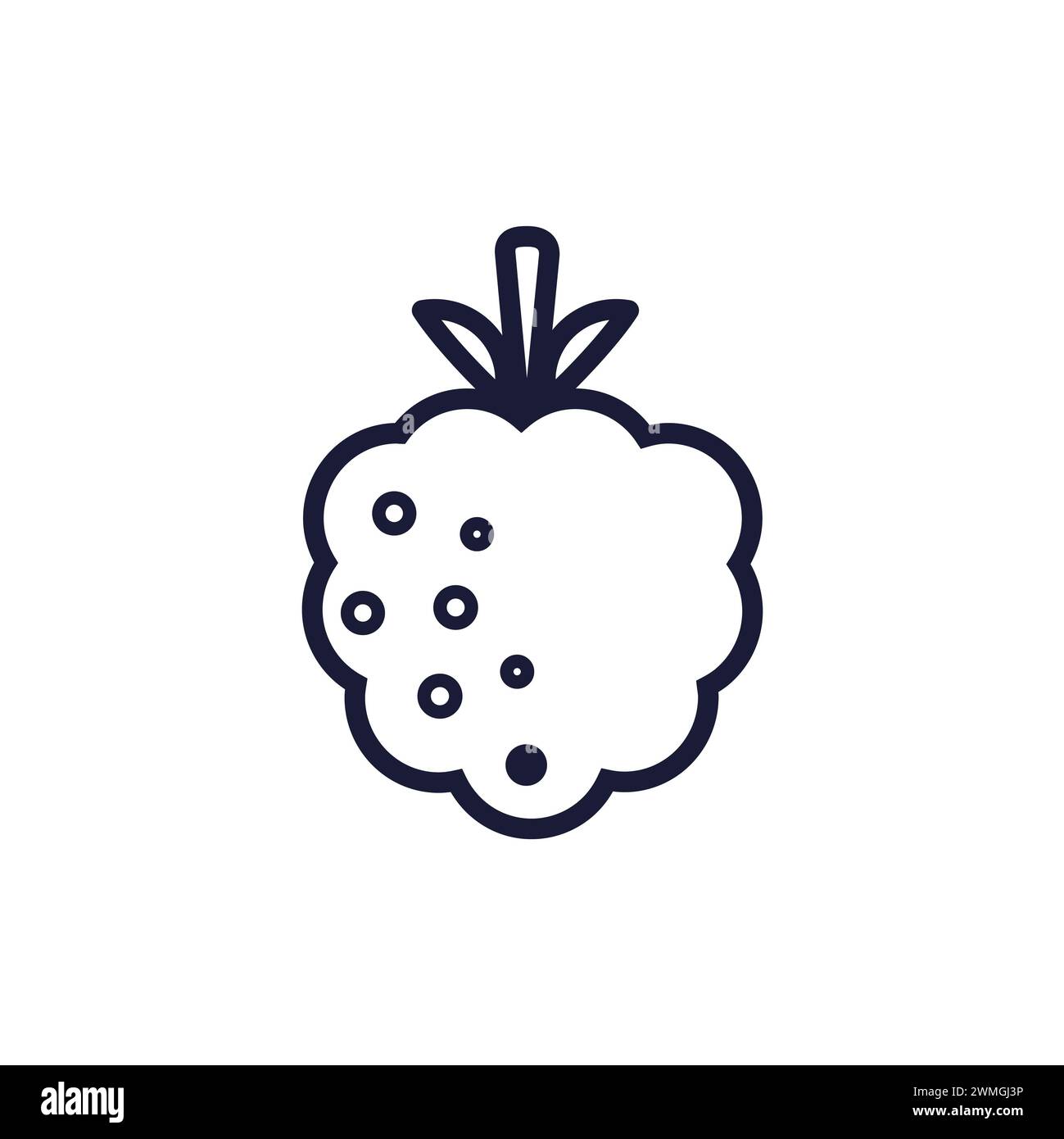 Cloudberry, framboise, mûre avec des feuilles et tacheté. Icône ligne DC. Vecteur isolé sur fond blanc. Style dessin animé. Pour poster ; paquet Banque D'Images