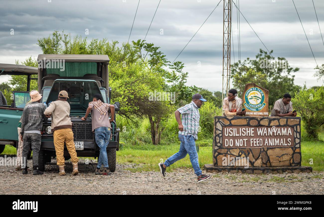Un chauffeur de safari touristique et un guide courent tandis que ses collègues inspectent le moteur d'un véhicule de safari 4x4 dans le parc national de Mikumi, en Tanzanie. Banque D'Images Un chauffeur de safari touristique et un guide courent tandis que ses collègues inspectent le moteur d'un véhicule de safari 4x4 dans le parc national de Mikumi, en Tanzanie. Banque D'Images