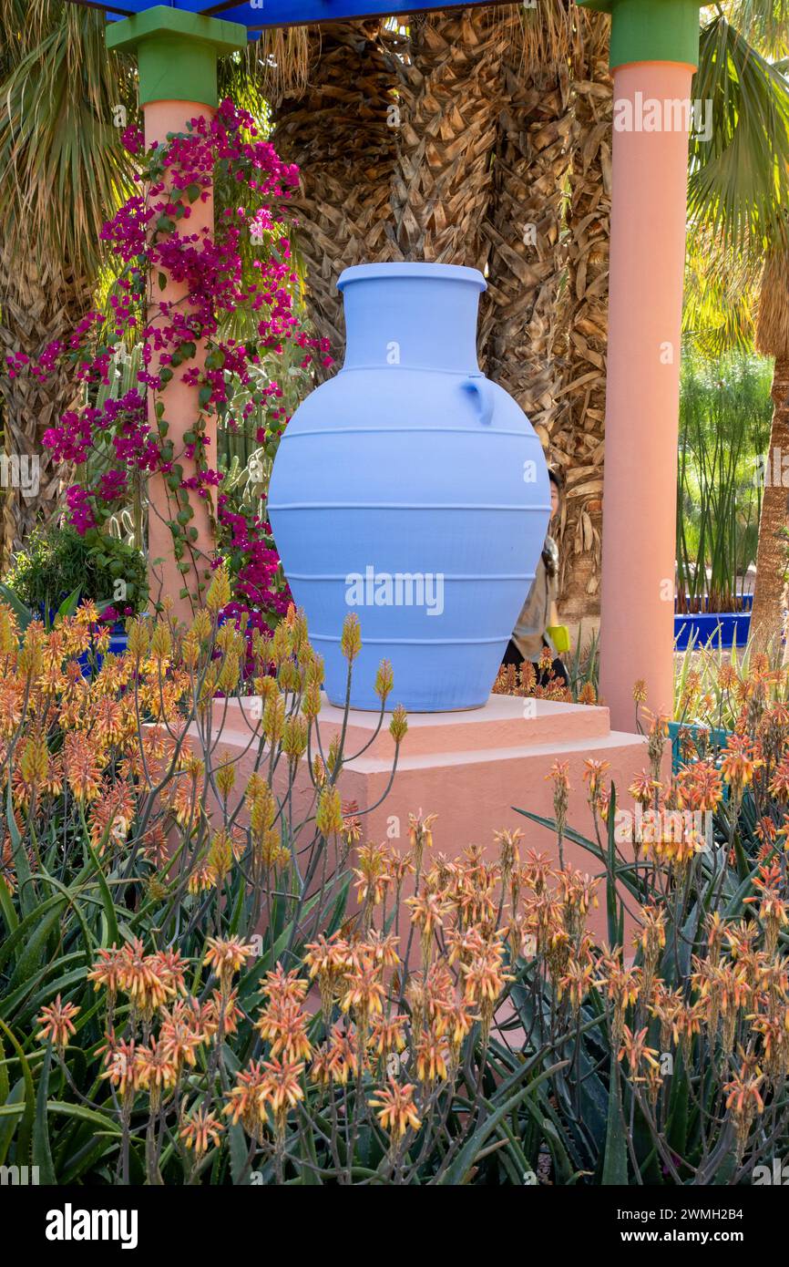 Avril - Afrique du Nord Maroc Marrakech Marrakech jardin Yves Saint Laurent jardin Majorelle Aloe camperi en fleurs fleurs fleuries amphores bleues Banque D'Images