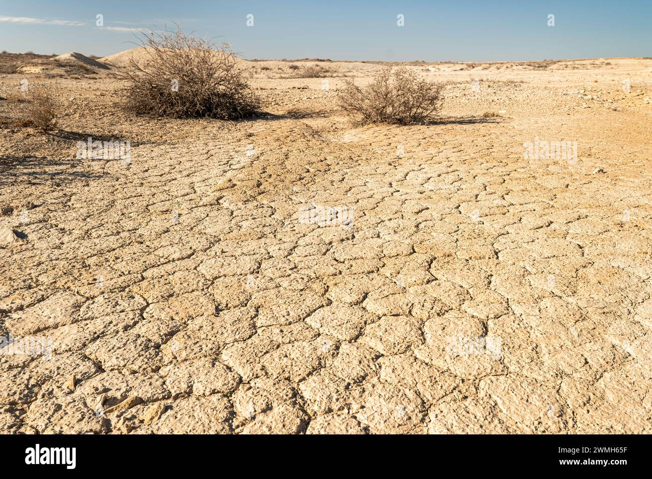 Côte sèche, le problème de la mer d'Aral. côte de la mer asséchée. Le fond asséché de la mer d'Aral. Banque D'Images