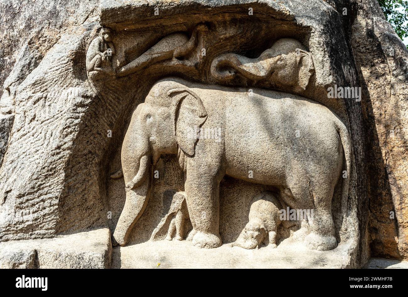 Temples taillés en pierre à Mamallapuram Inde Banque D'Images