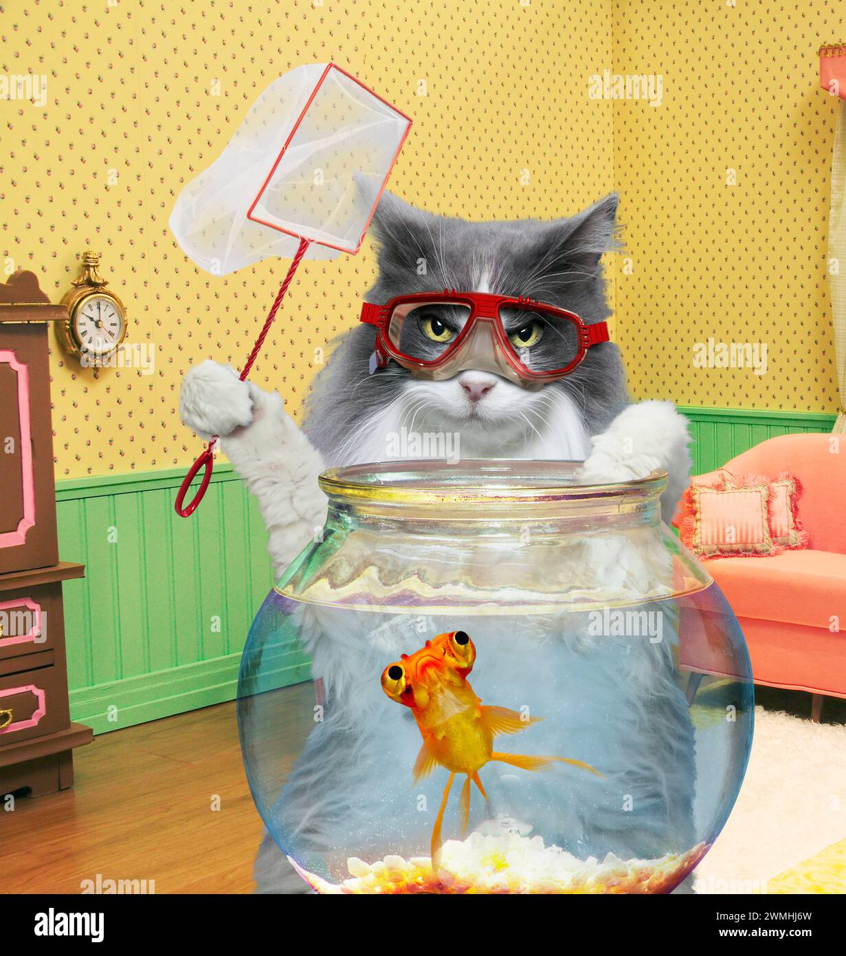 Un chat intelligent tient un filet et porte des lunettes de natation alors qu'il se tient debout au-dessus d'un bol de poisson avec un poisson rouge inquiet à l'intérieur dans un cliché drôle de chat. Banque D'Images