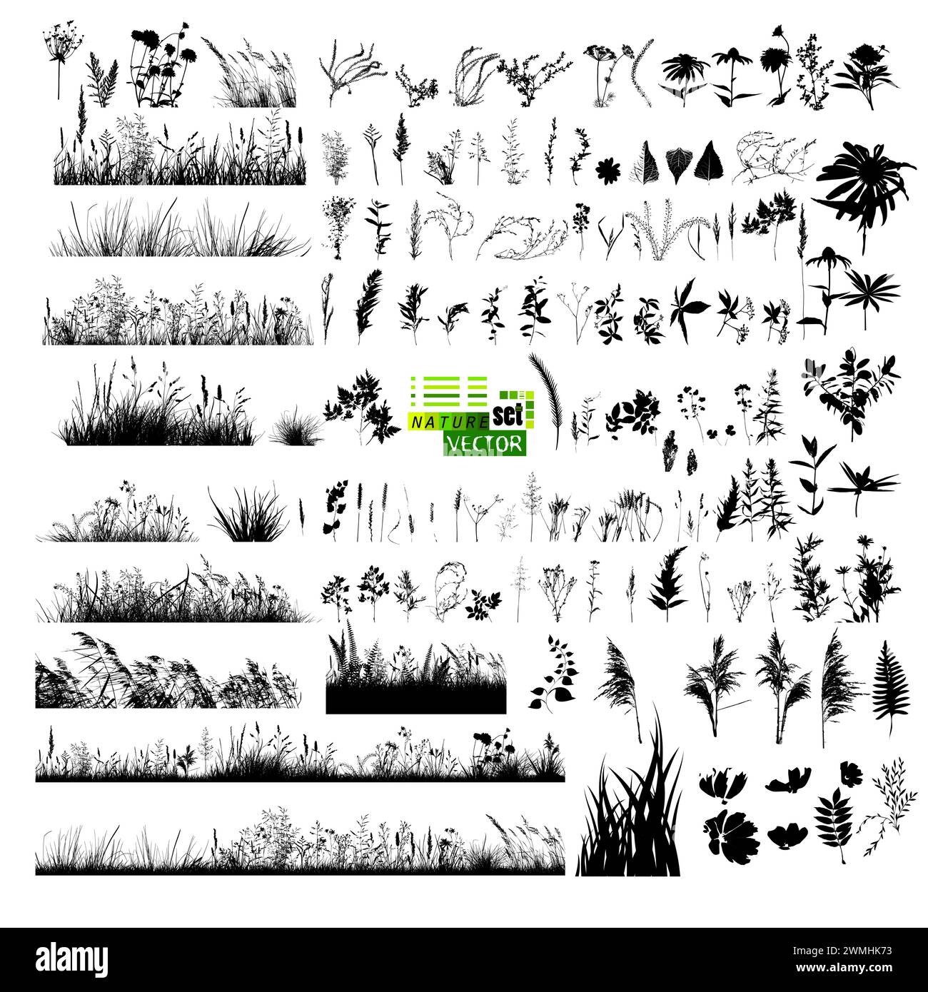 Un ensemble de brins d'herbe. dessin à la main. Pas IA. Illustration vectorielle Illustration de Vecteur