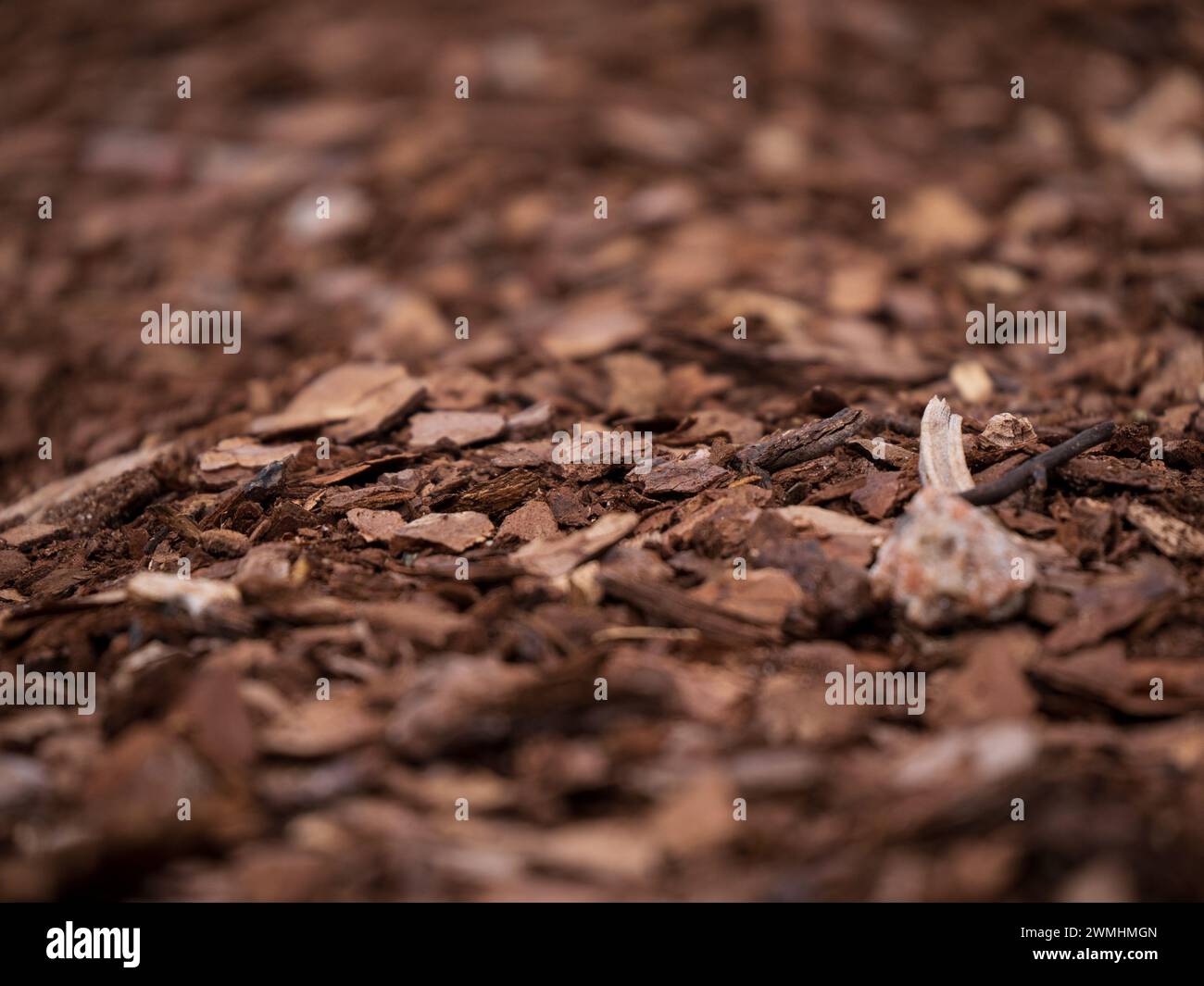 Gros plan de la texture du paillis des feuilles Banque D'Images