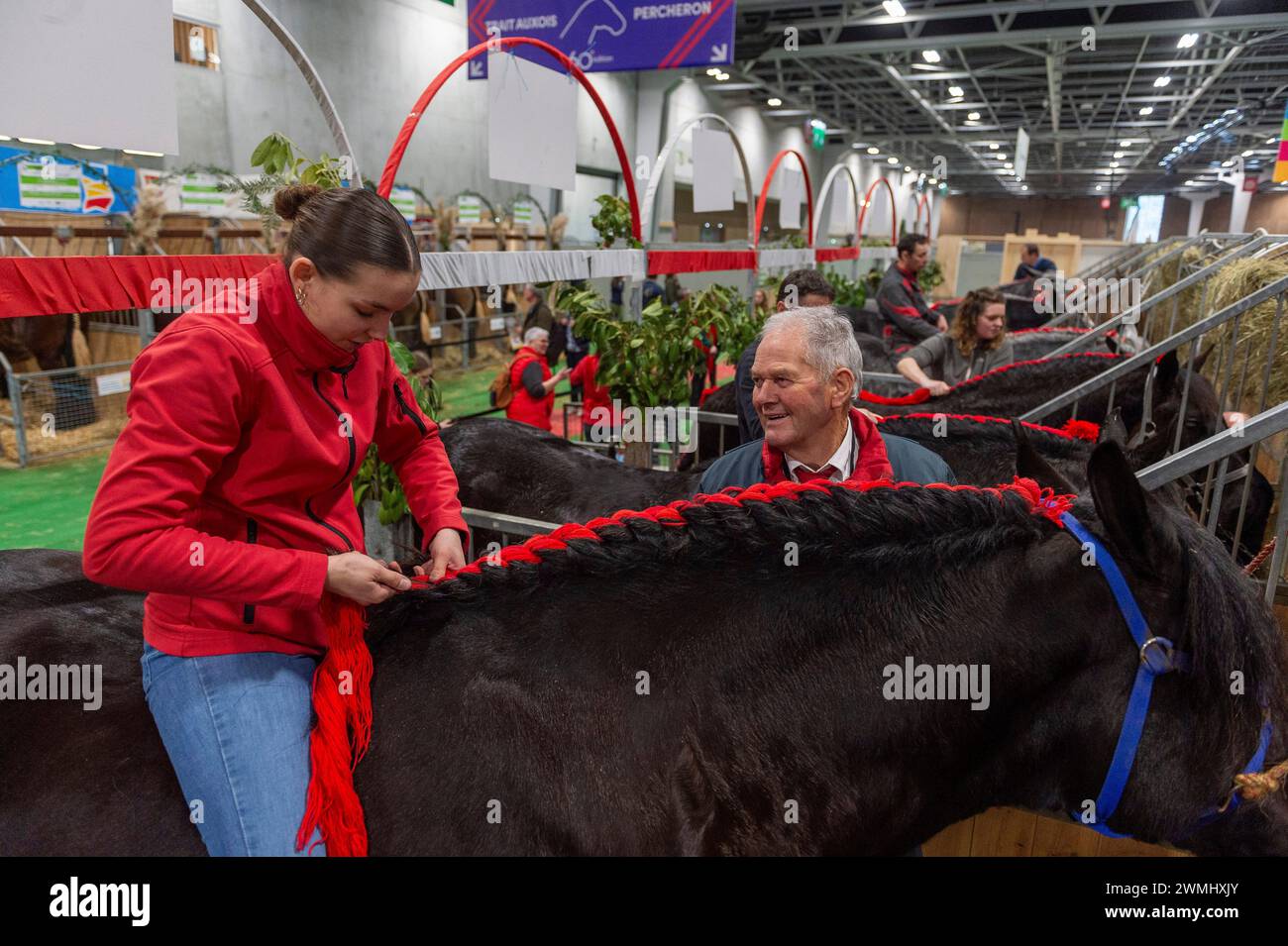 Paris, France. 26 février 2024. © PHOTOPQR/Ouest FRANCE/Mathieu Pattier ; PARIS ; 26/02/2024 ; 60 ème édition du salon international de l'agriculture de Paris porte de Versailles, lundi 26 février 2024 . Préparatifs pour le concours équin dans le hall 6 race Percheron 60th salon international de l agriculture (SIA) Feb 26 2024 Credit : MAXPPP/Alamy Live News Banque D'Images