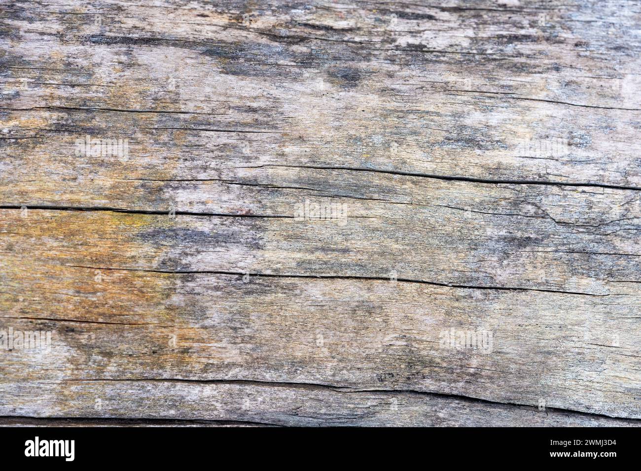 papier peint de fond de planche de bois vieux et détérioré Banque D'Images
