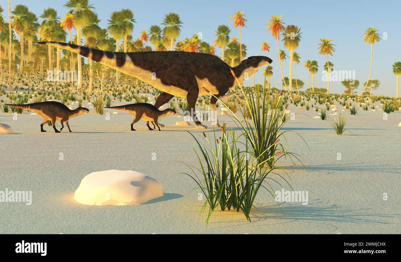 Brachylophosaurus était un dinosaure herbivore hadrosaure qui vivait en Amérique du Nord au Crétacé. Banque D'Images