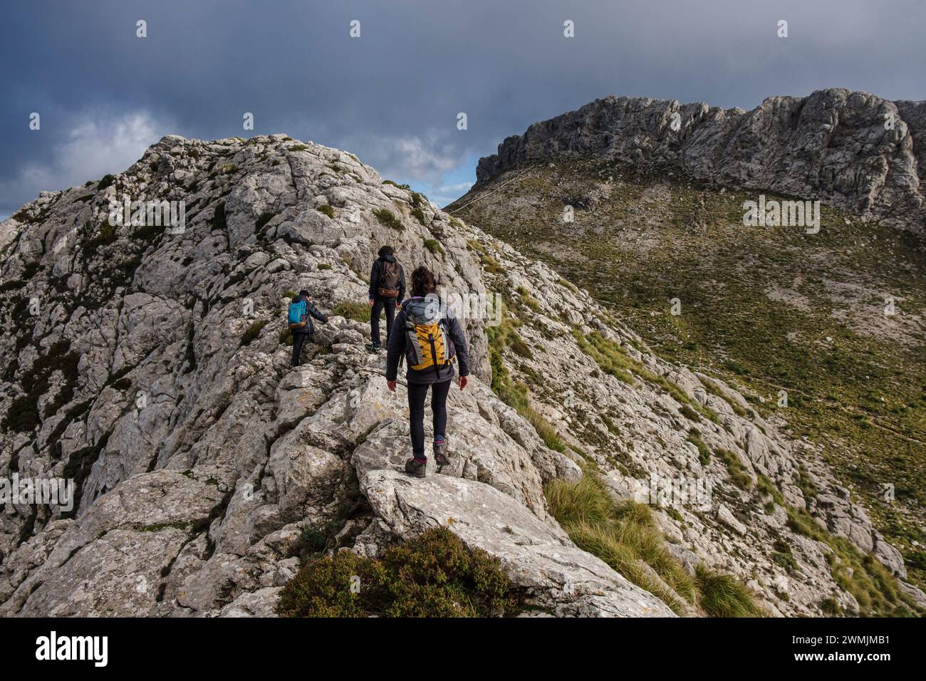 Ascension vers Serra des Teixos, Escorca, Mallorca, Îles Baléares, Espagne Banque D'Images