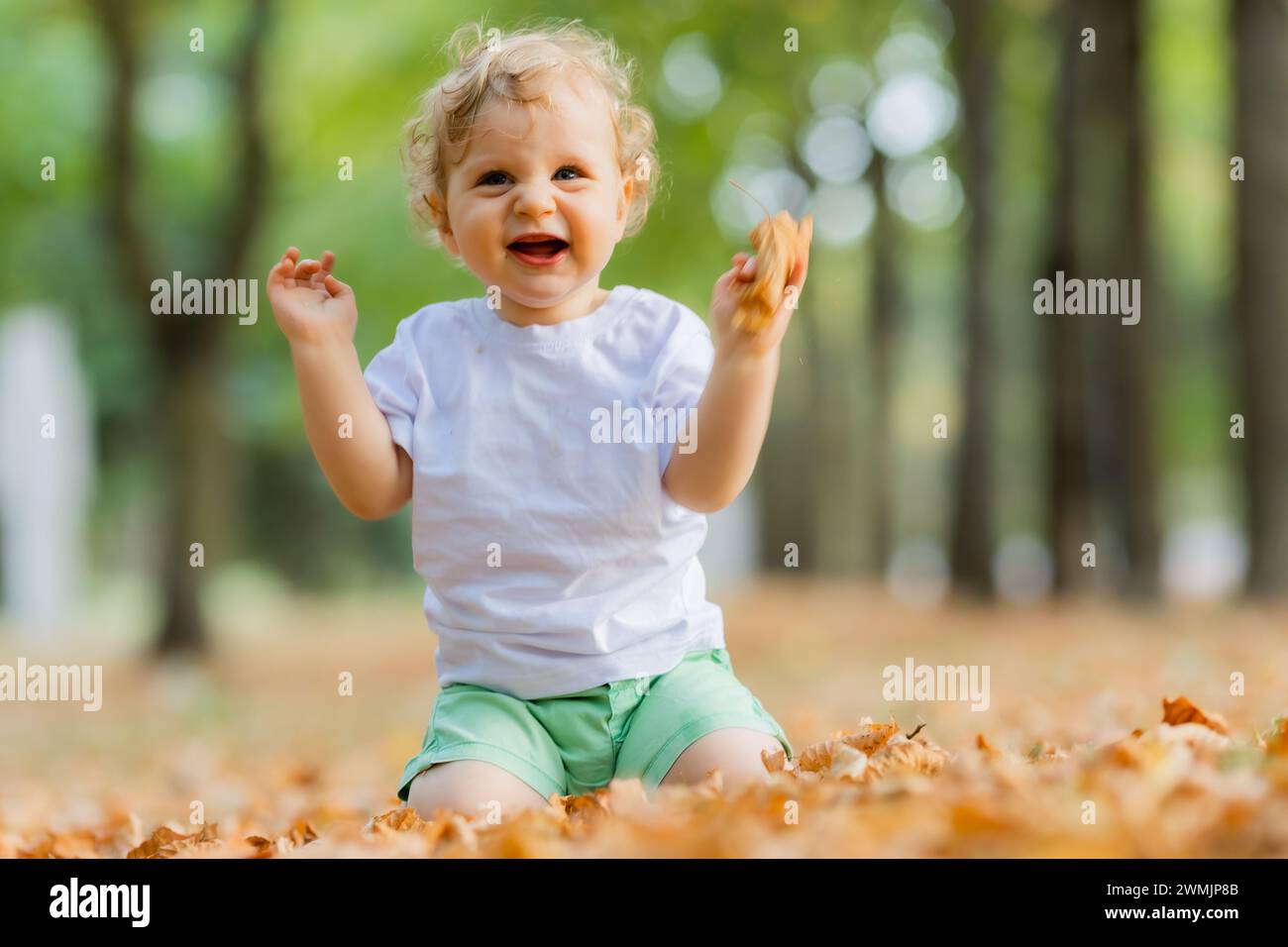 Mignon bébé blond bouclé assis sur l'herbe en automne. Photo de haute qualité Banque D'Images