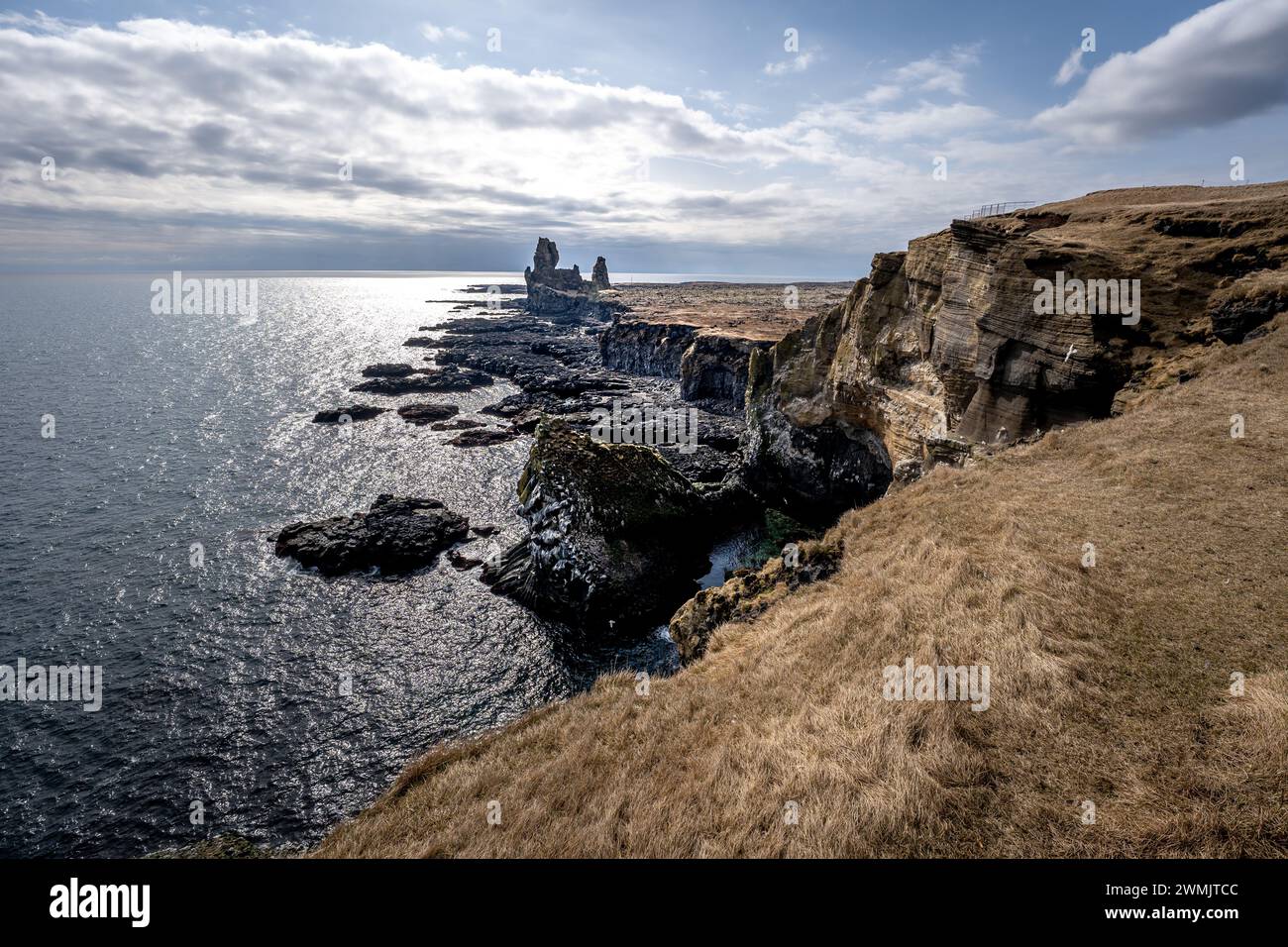 Vue classique de Londrangar au printemps en Islande Banque D'Images