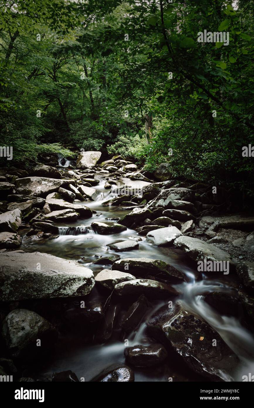 Petite crique dans les Great Smoky Mountains en Caroline du Nord Banque D'Images