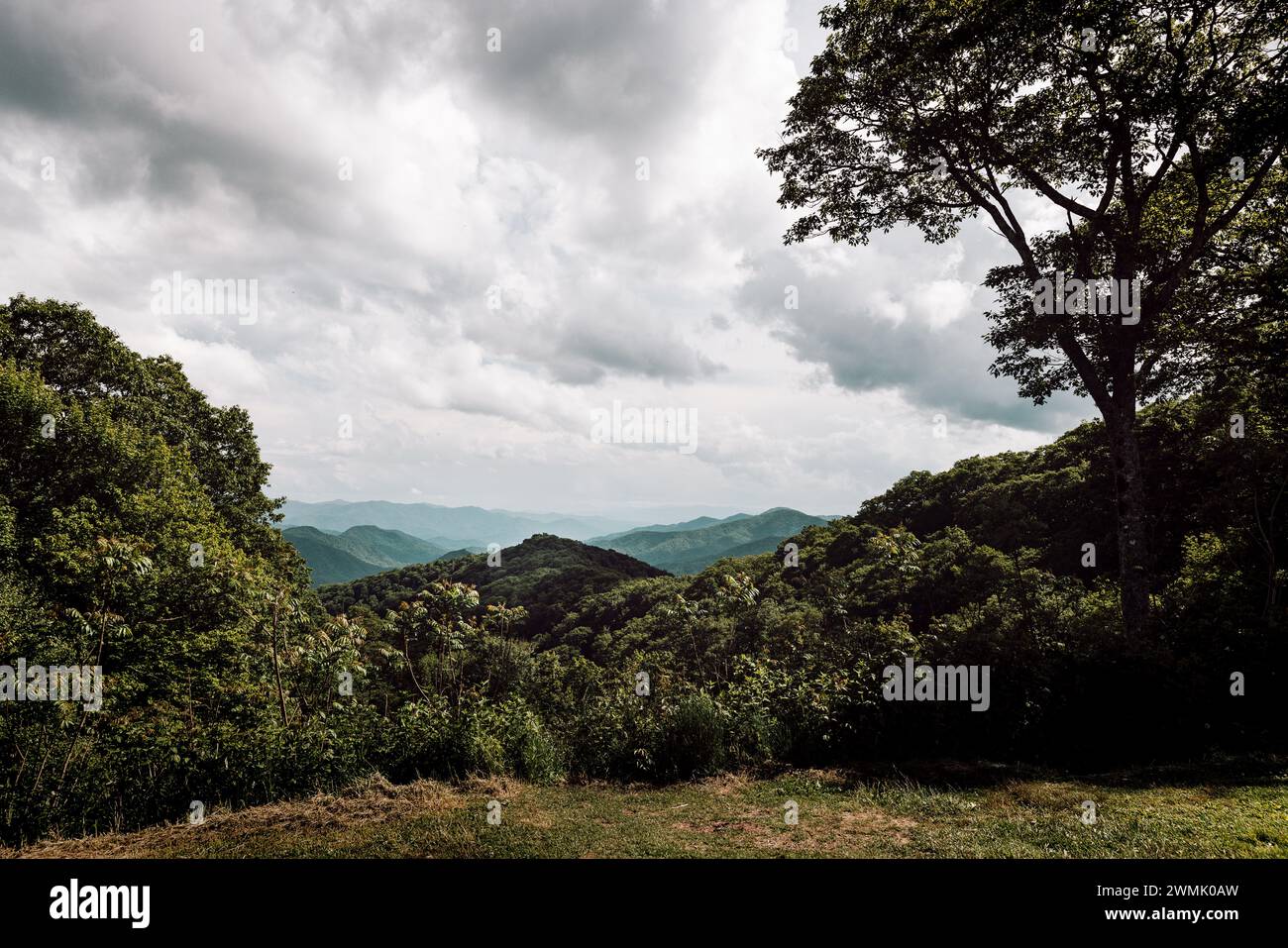 Vue panoramique sur les Great Smoky Mountains Banque D'Images