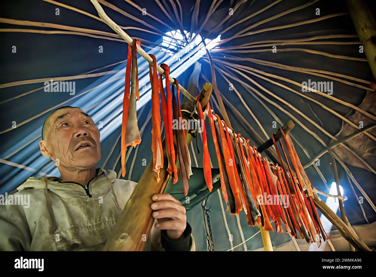 Koryak Man sèche des poissons dans son camp d'été qui nourrira sa famille tout au long de l'hiver. Les Koryaks sont un peuple indigène du krai du Kamtchatka dans le Ru... Banque D'Images