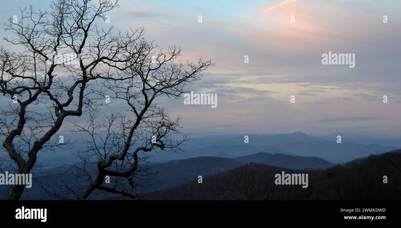 Lumière matinale au-dessus des Blue Ridge Mountains, avec la silhouette d'un arbre sans feuilles au premier plan Banque D'Images