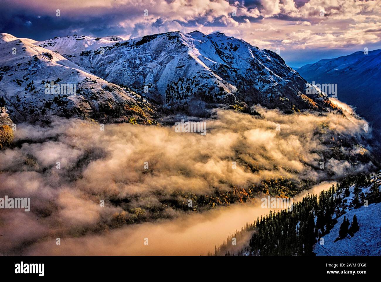 Le brouillard et les nuages bas remplissent les vallées entourant les sommets enneigés des montagnes sauvages et accidentées de San Juan. Arbres d'argent, pas la lumière du soleil, L... Banque D'Images