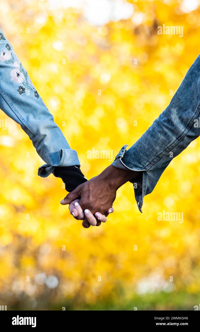 Gros plan des mains serrées d'un couple de races mixtes, se tenant la main et passant du temps de qualité ensemble lors d'une sortie en famille d'automne dans un parc de la ville Banque D'Images