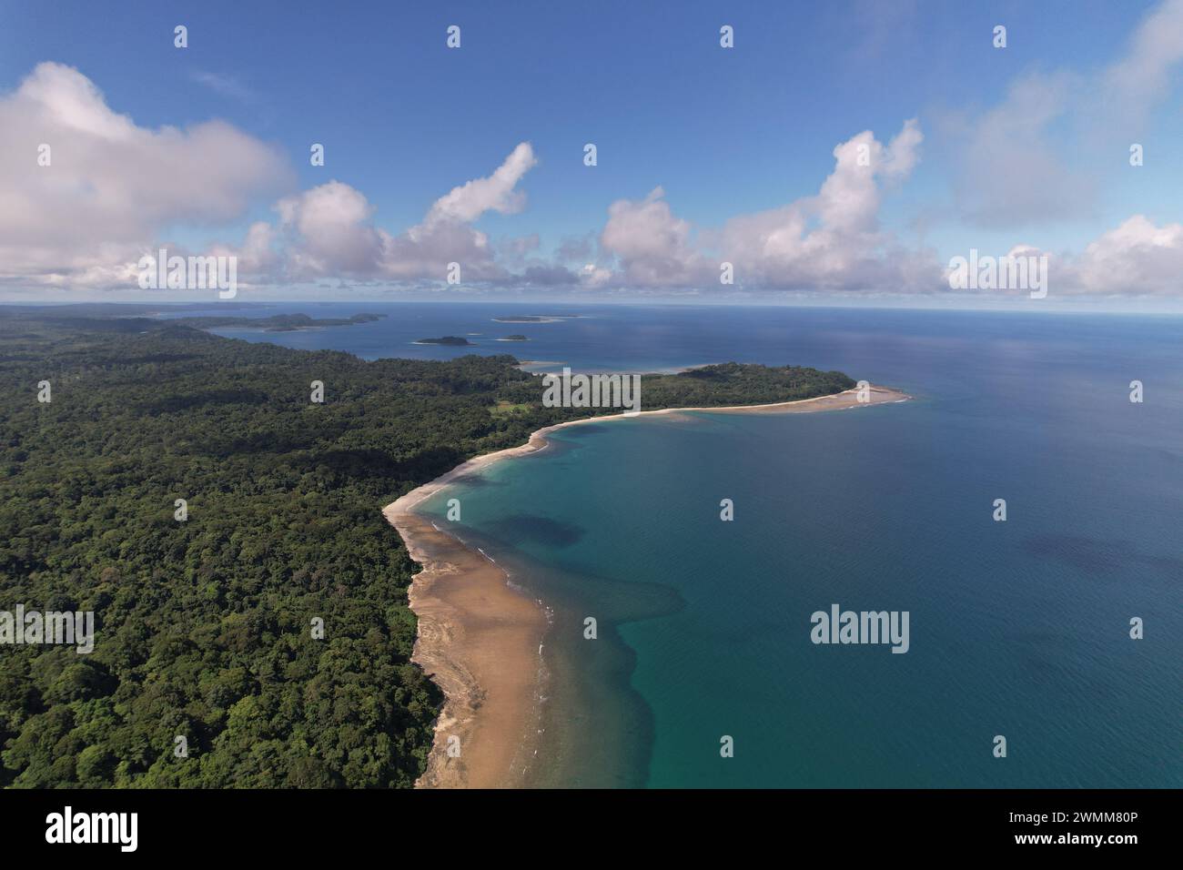 Les forêts tropicales tropicales à feuilles persistantes d'Andaman, de belles plages de sable argenté, des criques serpentine aux lignes de mangrove, une vie marine abondante en espèces rares Banque D'Images