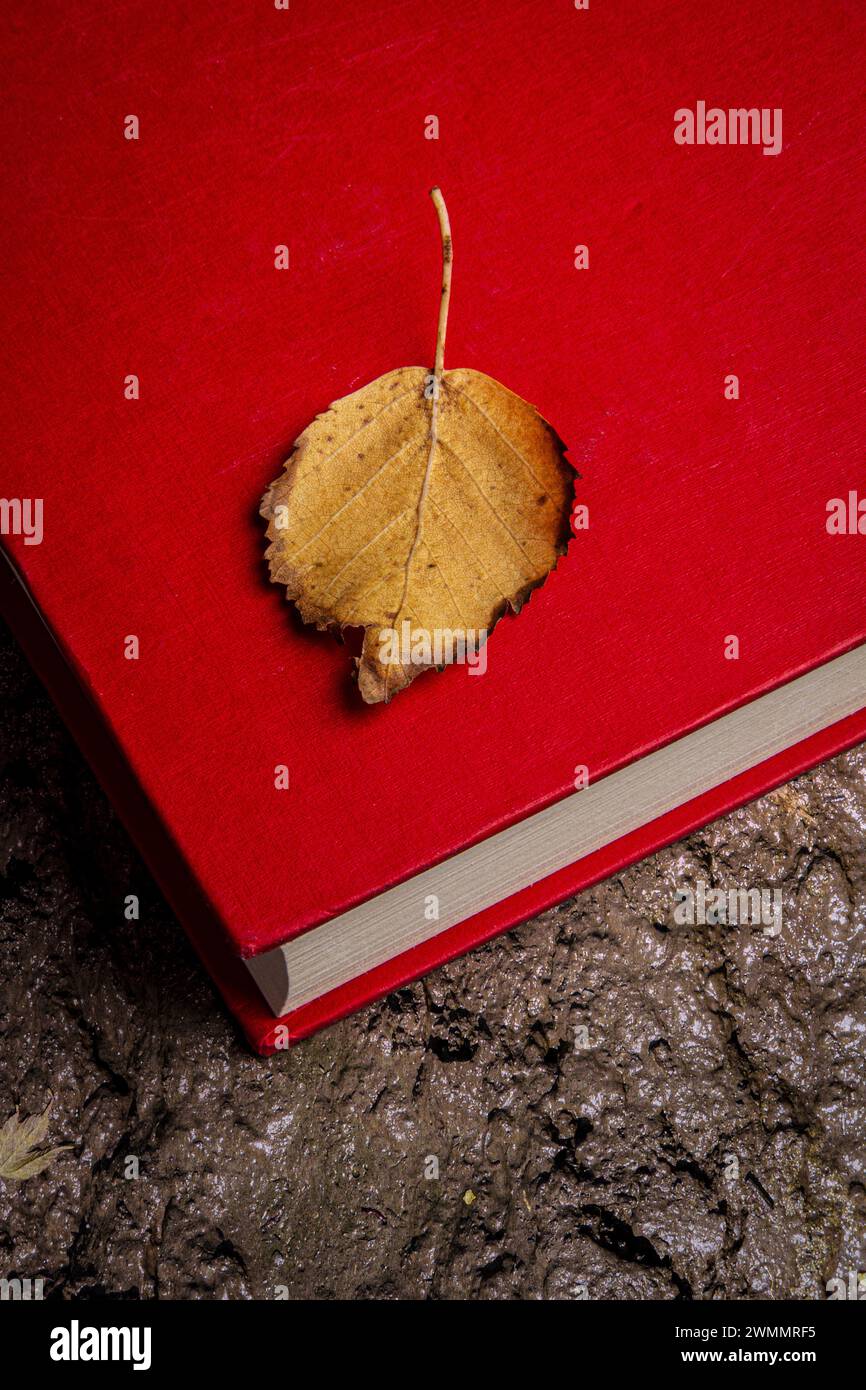 Une image minimaliste de nature morte d'une feuille d'automne tombée brune sur le dessus d'un livre rouge relié qui repose sur un sol boueux Banque D'Images